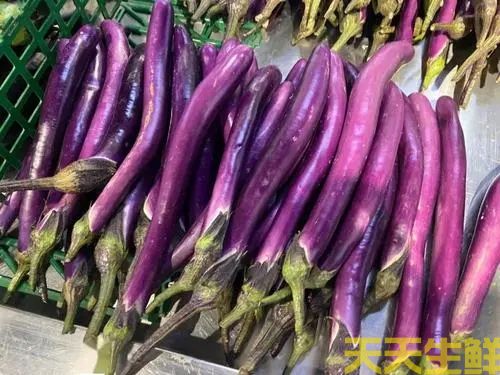 廣州農(nóng)產(chǎn)品配送公司告訴你，常見(jiàn)茄子的種類(lèi)有哪些？(圖3)