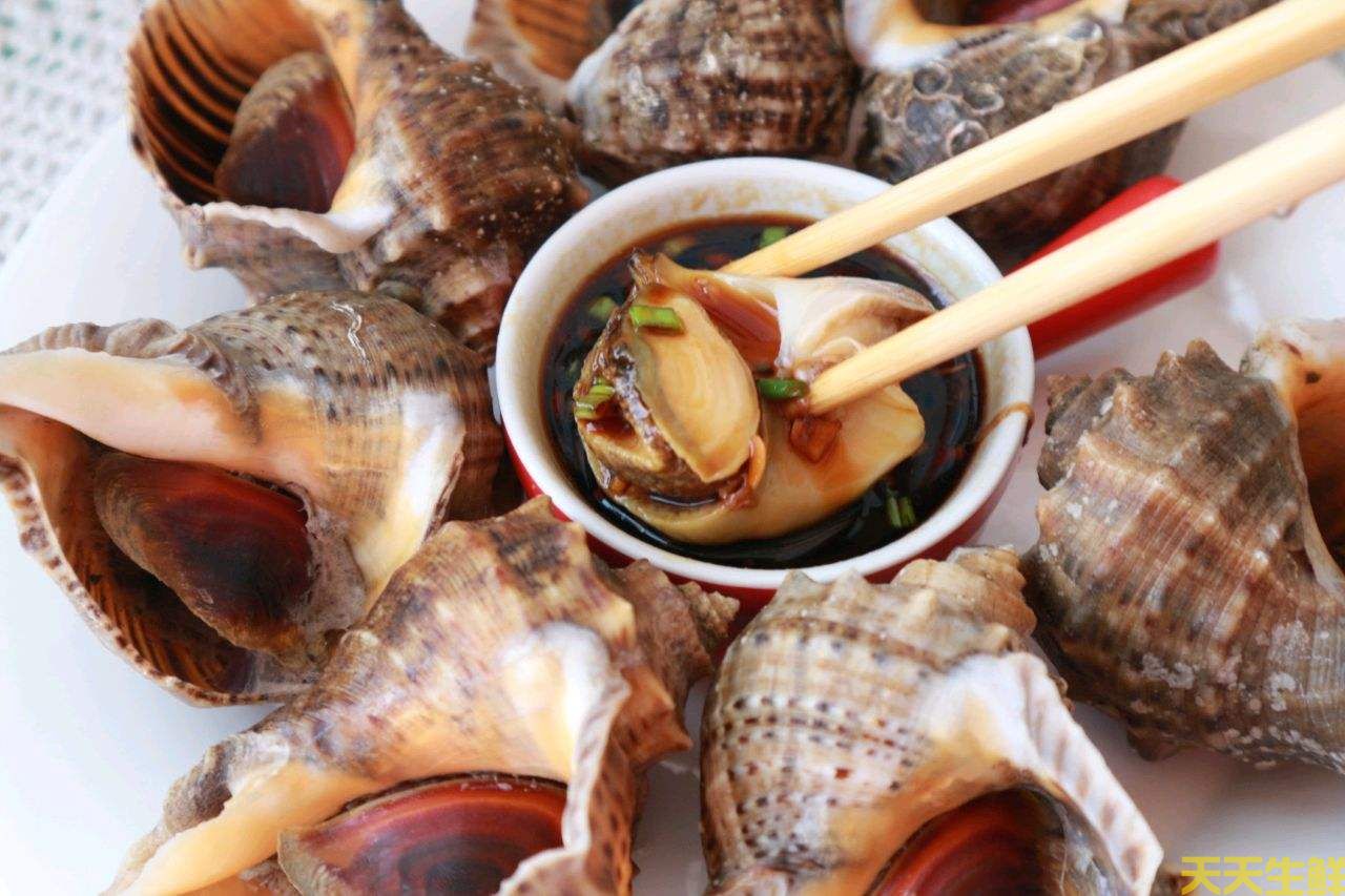 廣州送菜公司分享：常見的海鮮貝類有哪些？(圖10)