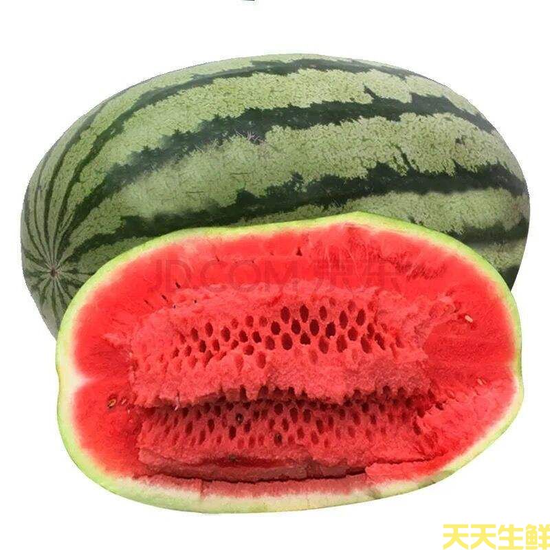 廣州蔬菜配送公司分享:常見西瓜的品種有哪些？(圖5)