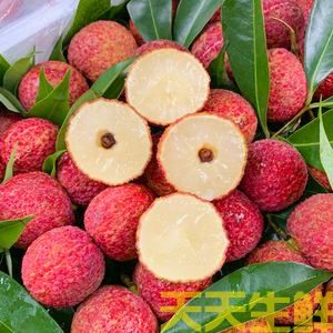 荔枝的品種有哪些？廣州蔬菜配送公司科普(圖3)